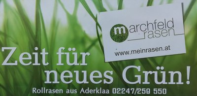 Zeit_für_neues_grün