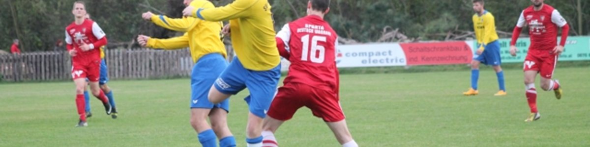Siege gegen Haringsee